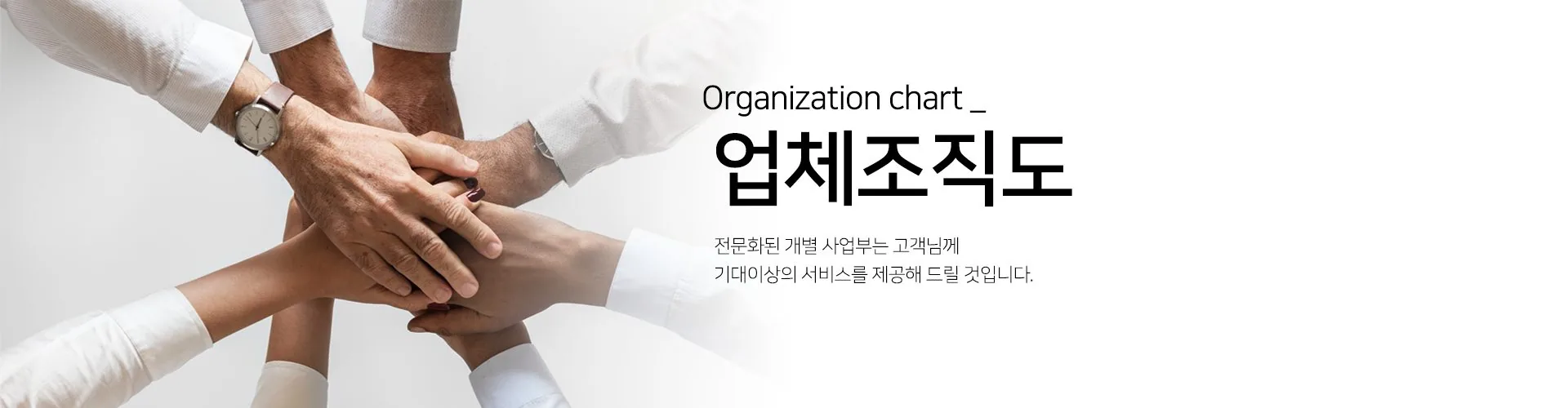 업체조직도